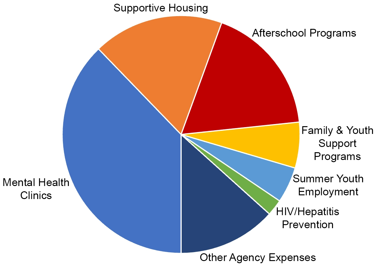 Pie chart showing proportional program expenses of 38% for Mental Health Clinics, 18% for Supportive Housing, 18% for Afterschool Programs, 6% for Family & Youth Support Programs, 5% for Summer Youth Employment, 2% for HIV/Hepatitis Prevention and 13% for Other Agency Expenses.